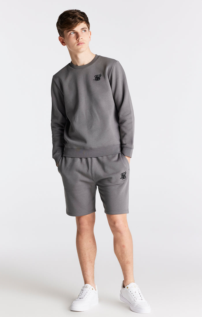 Load image into Gallery viewer, Boys Grey Essentials Sweatshirt (3)